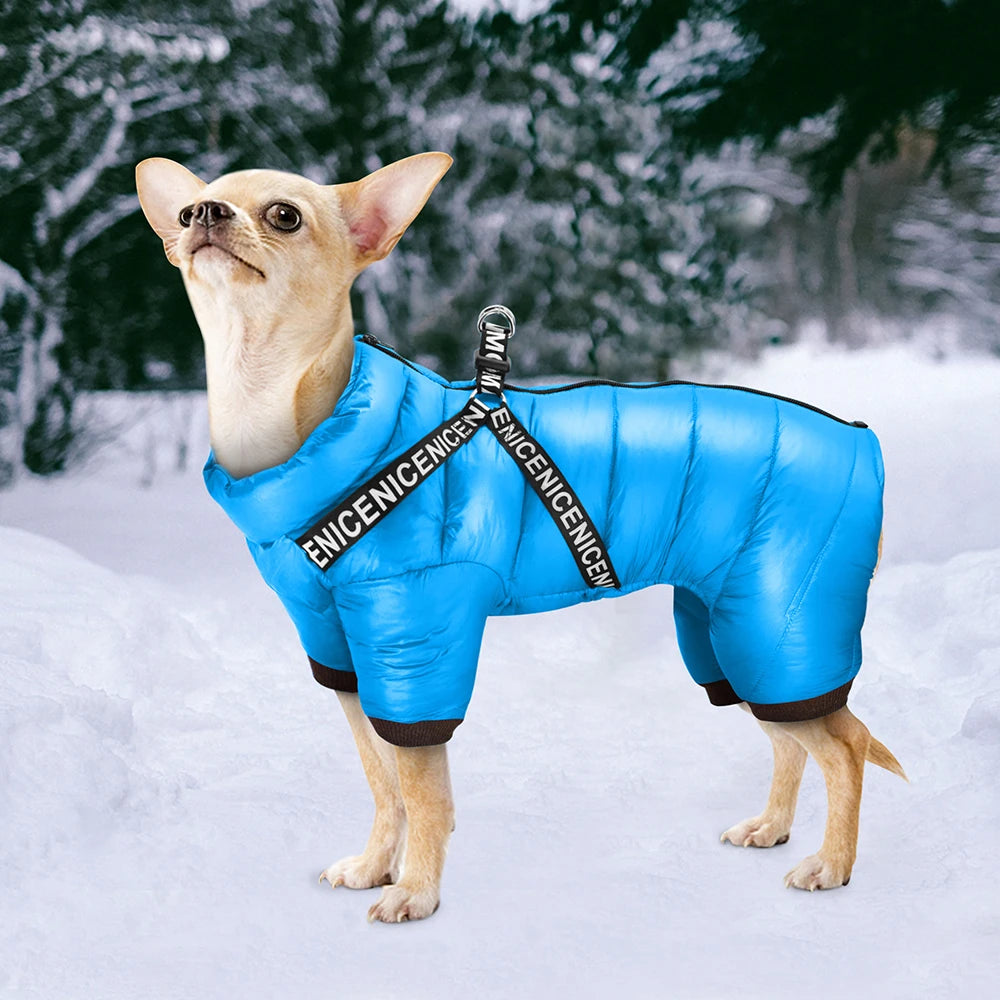 Winter Dog Jacket Coat .