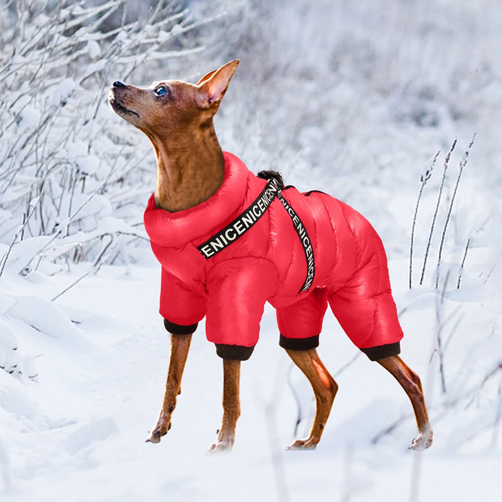 Winter Dog Jacket Coat .