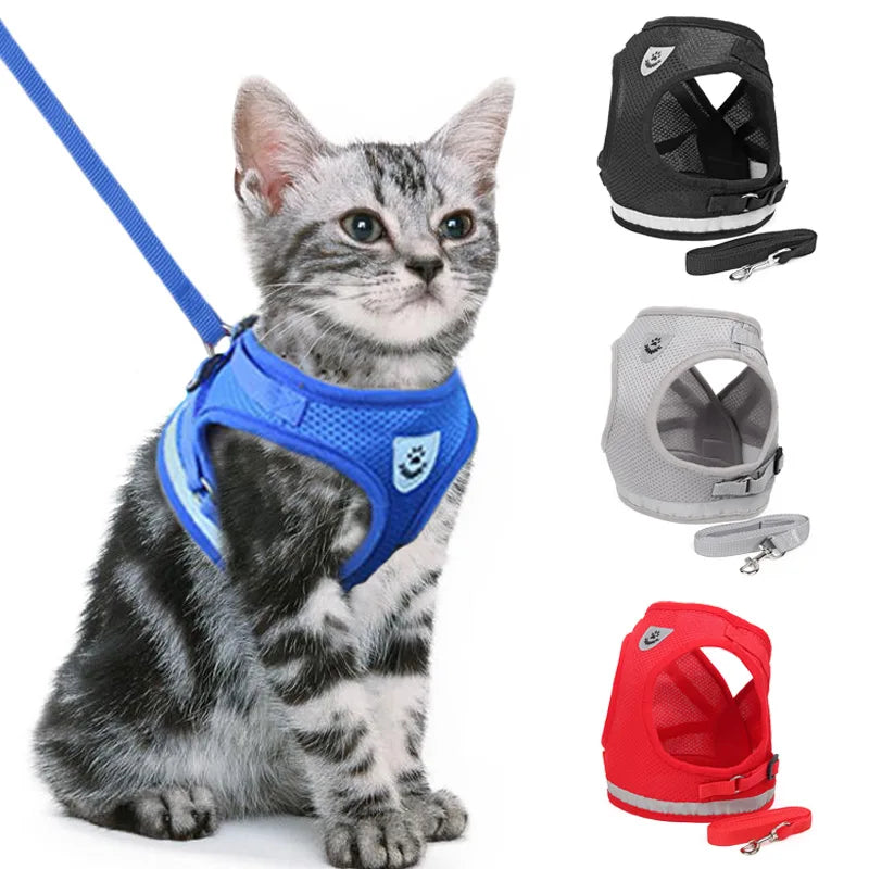 Reflective Mesh Harness Set for Cats & Small Dogs.