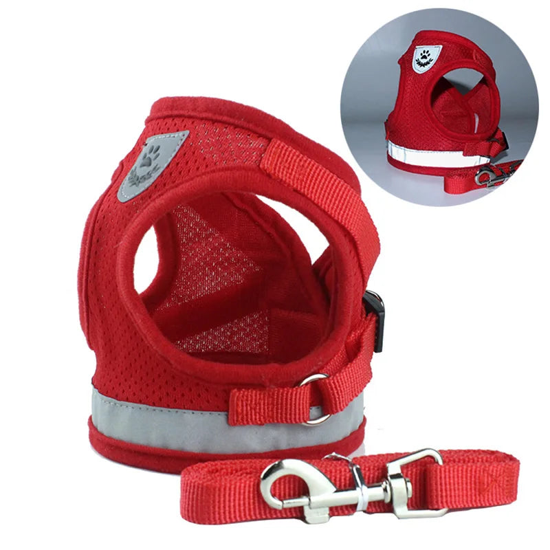 Reflective Mesh Harness Set for Cats & Small Dogs.