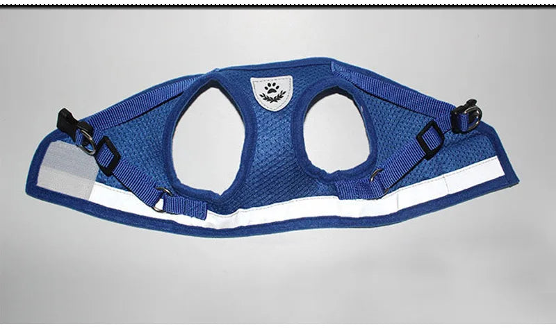 Reflective Mesh Harness Set for Cats & Small Dogs.