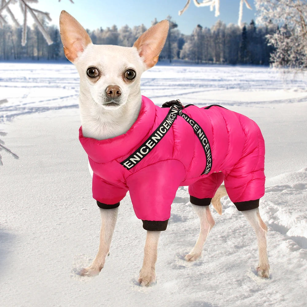 Winter Dog Jacket Coat .