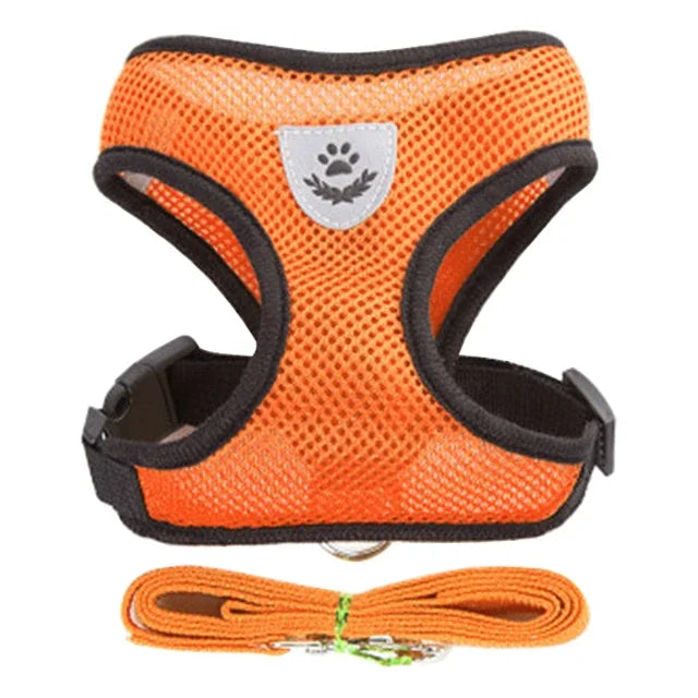 Breathable Pet Harness with Leash