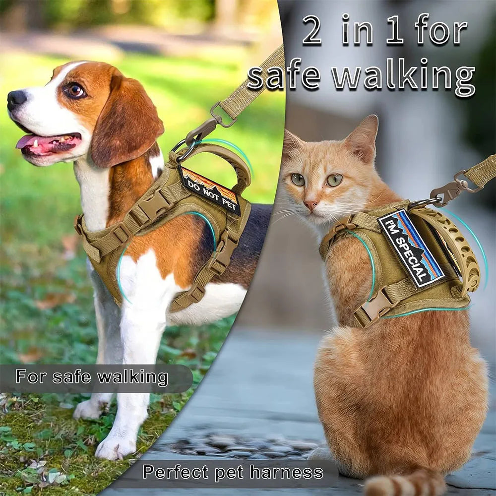 Tactical Cat & Dog Harness Leash For Working