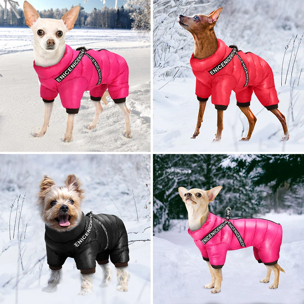 Winter Dog Jacket Coat .