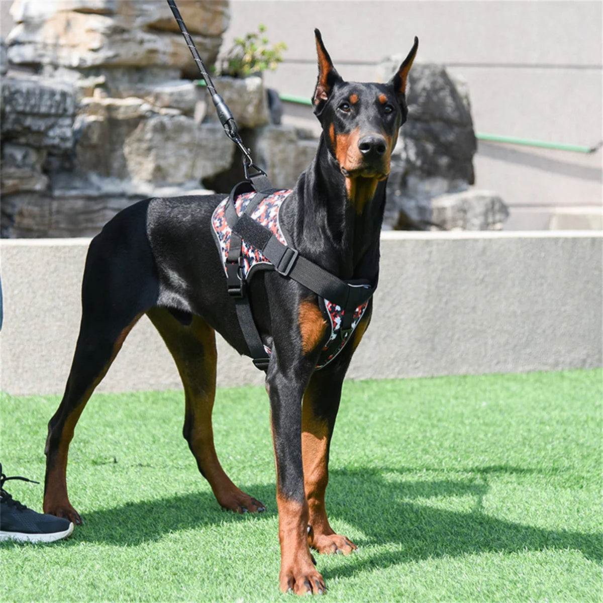 Harness Reflective Chest for dogs