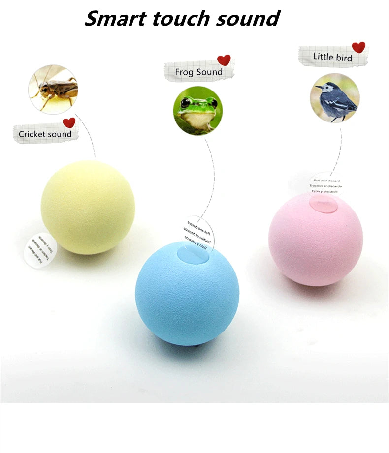 WhiskerPlay™ Smart Squeak Cat Toy Ball.