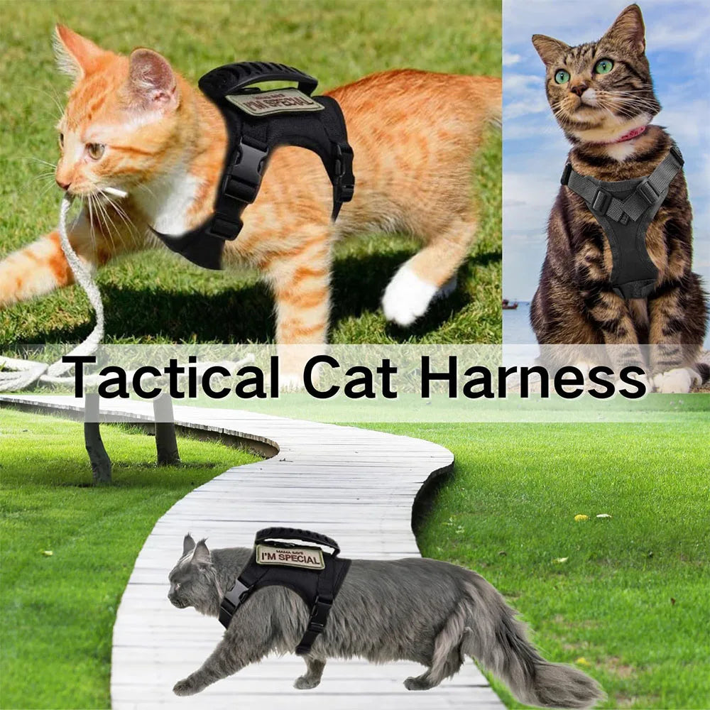 Tactical Cat & Dog Harness Leash For Working