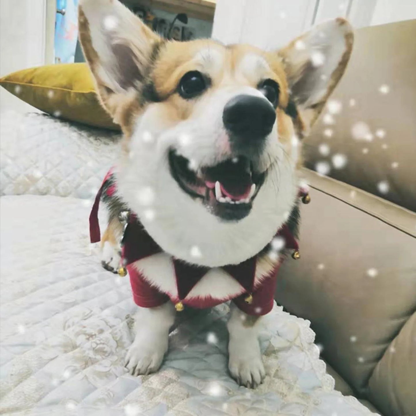 SantaPup™ Festive Jingle Bell Dog Bandana