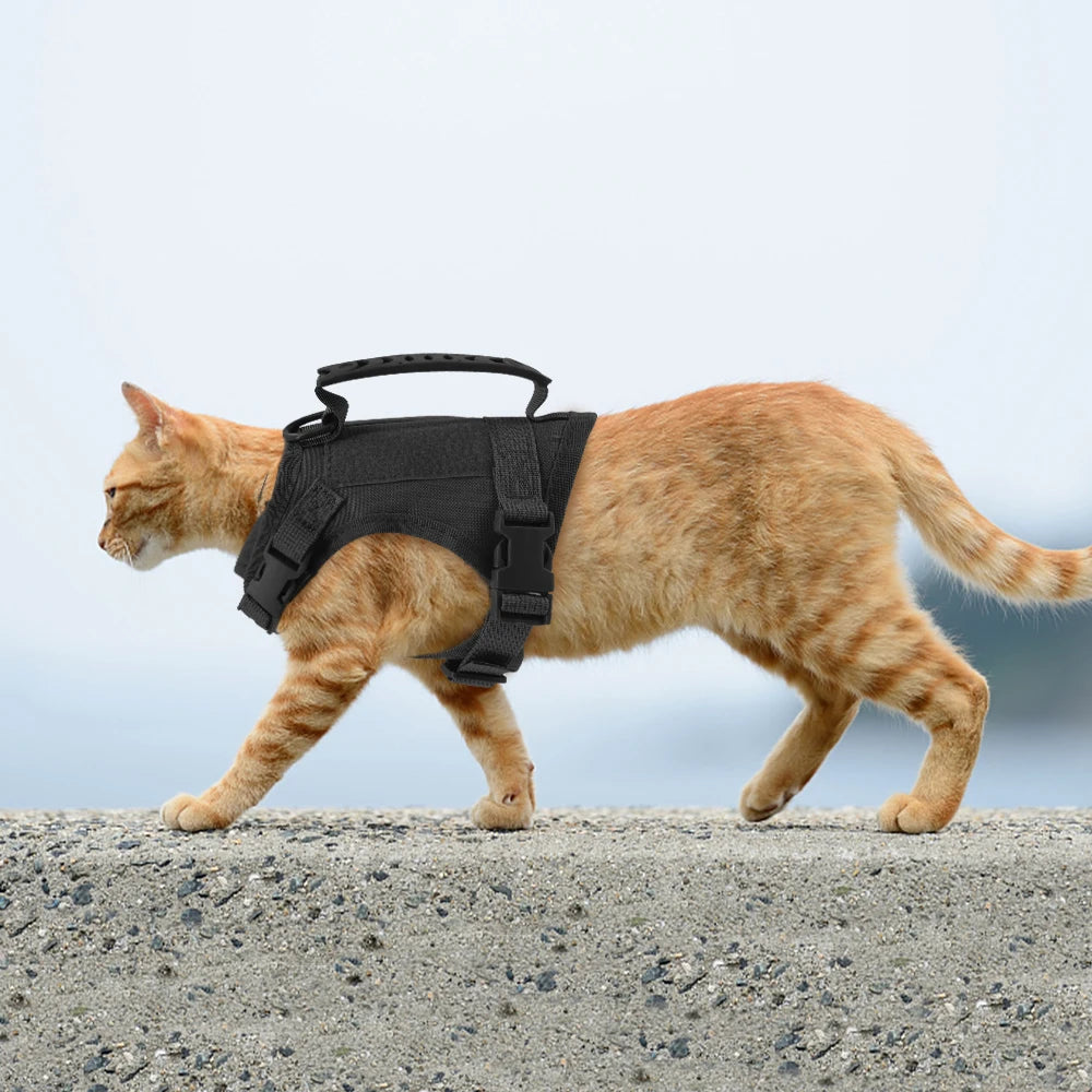 Tactical Puppy Harness Leash For Small Dogs &Cats .