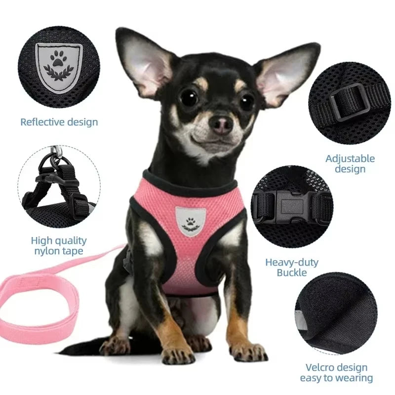Breathable Pet Harness with Leash