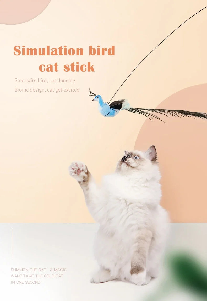 Simulation Bird Cat Toys Funny Interactive .