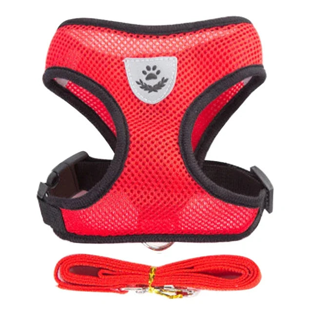 Breathable Pet Harness with Leash