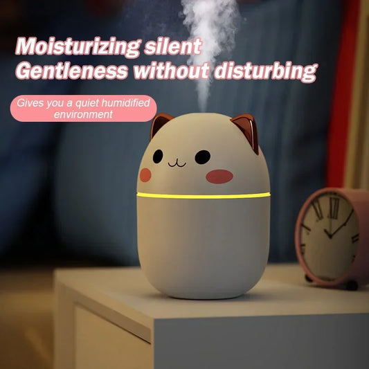 250ML Mini Air Humidifier.