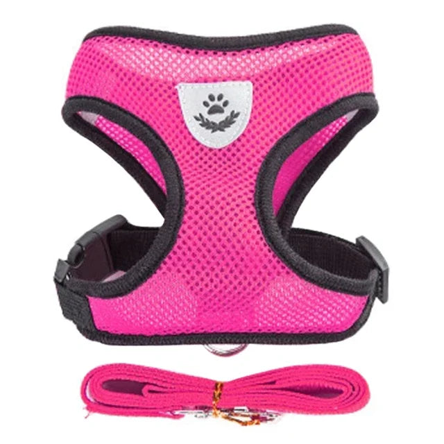 Breathable Pet Harness with Leash