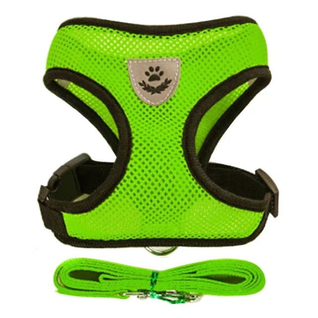 Breathable Pet Harness with Leash