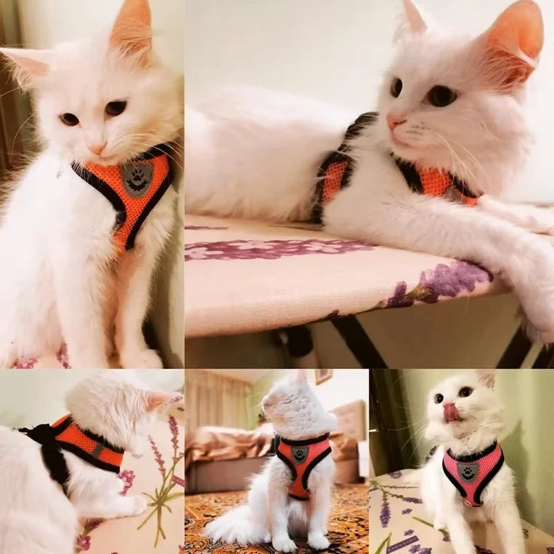 Breathable Pet Harness with Leash