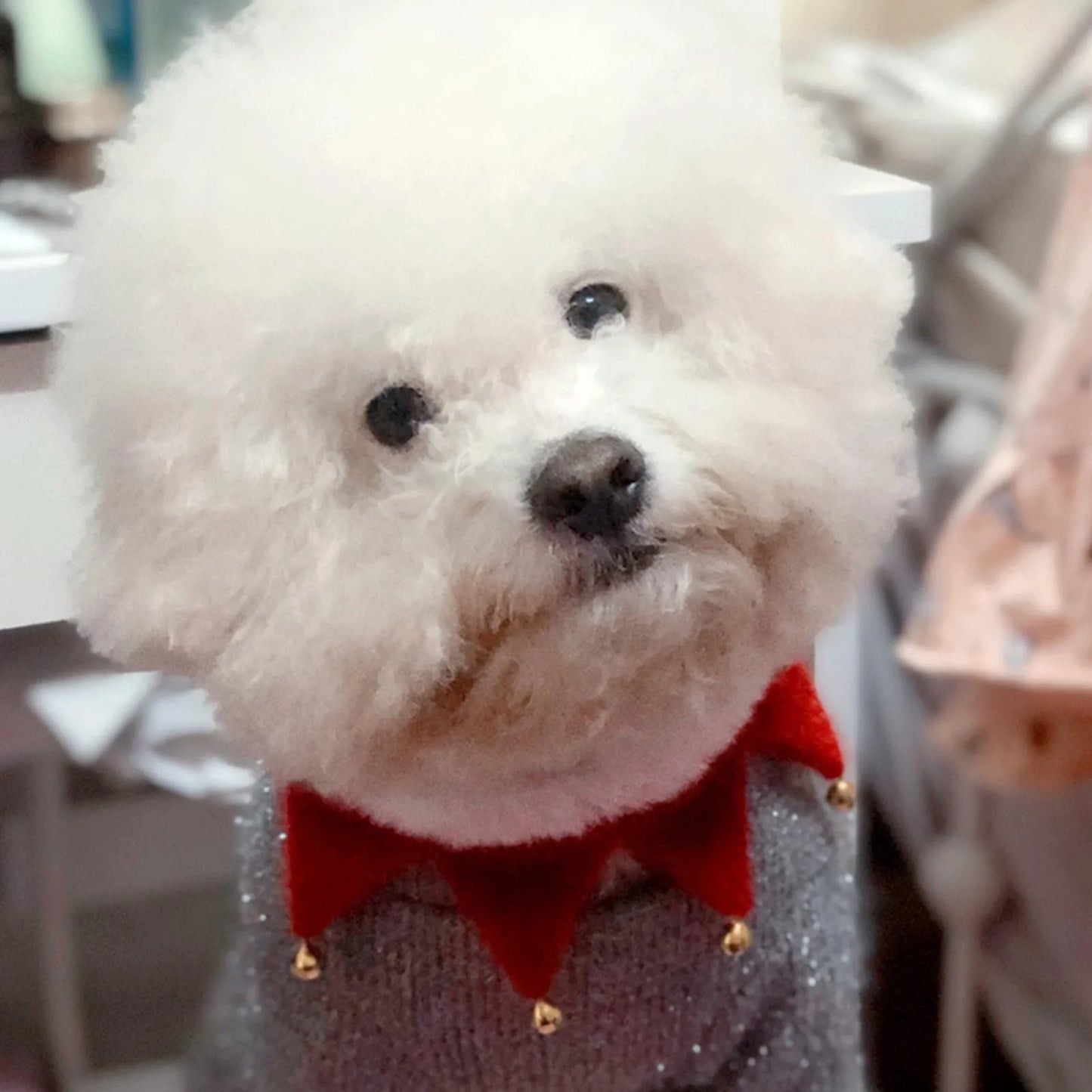 SantaPup™ Festive Jingle Bell Dog Bandana