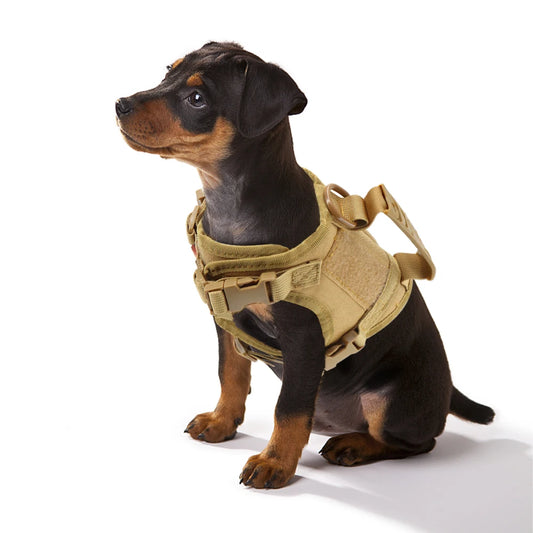 Tactical Puppy Harness Leash For Small Dogs .