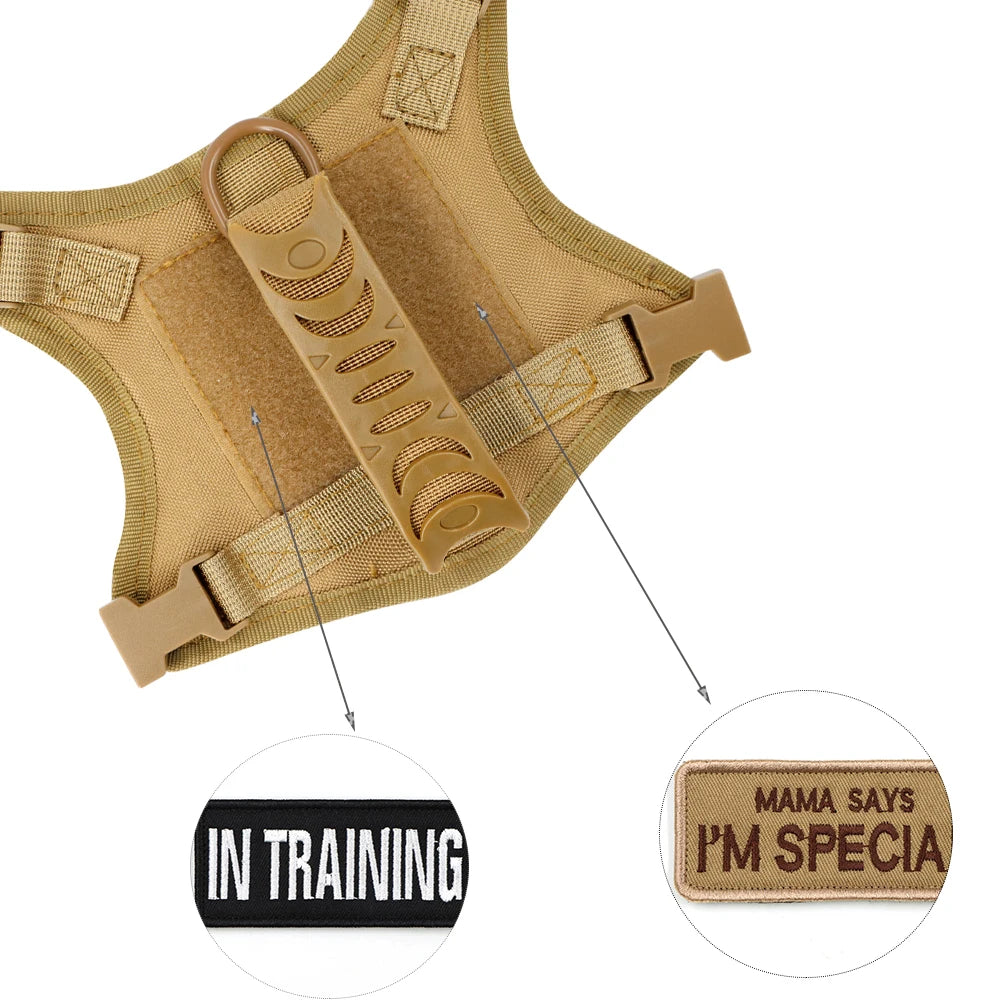 Tactical Puppy Harness Leash For Small Dogs .