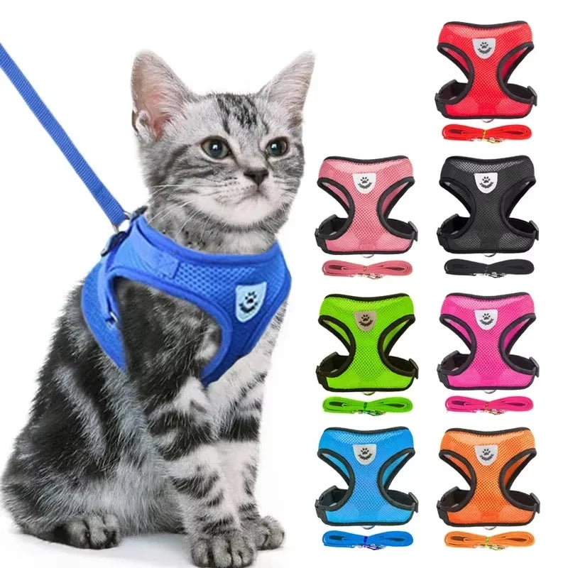 Breathable Pet Harness with Leash