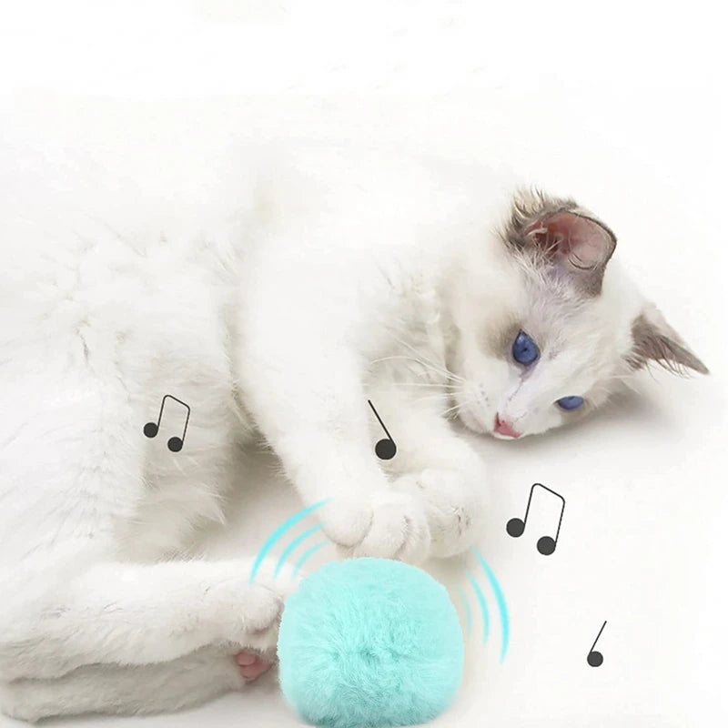WhiskerPlay™ Smart Squeak Cat Toy Ball.