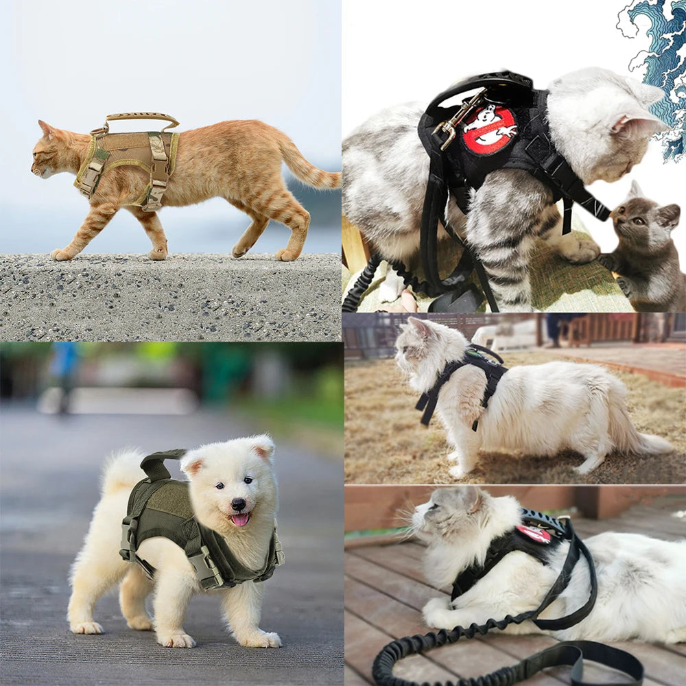 Tactical Puppy Harness Leash For Small Dogs &Cats .